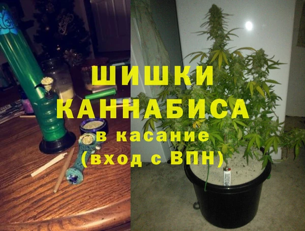 ПСИЛОЦИБИНОВЫЕ ГРИБЫ Абдулино