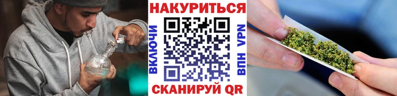 Каннабис конопля Подпорожье